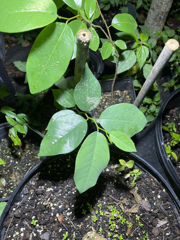 CD6DEBD8-3C18-44E3-B6B1-7E041AD158AF