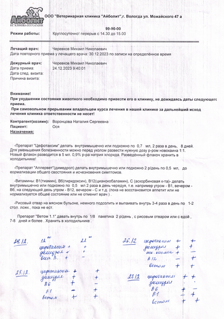 прием декабрь 23