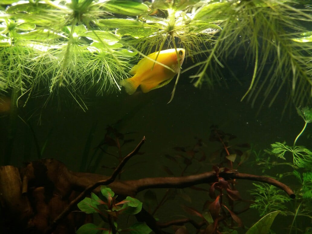 20161113_203919-1032x774