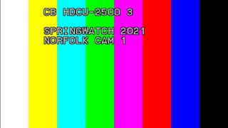 UKI-1371-P-120210523-190318.jpg
