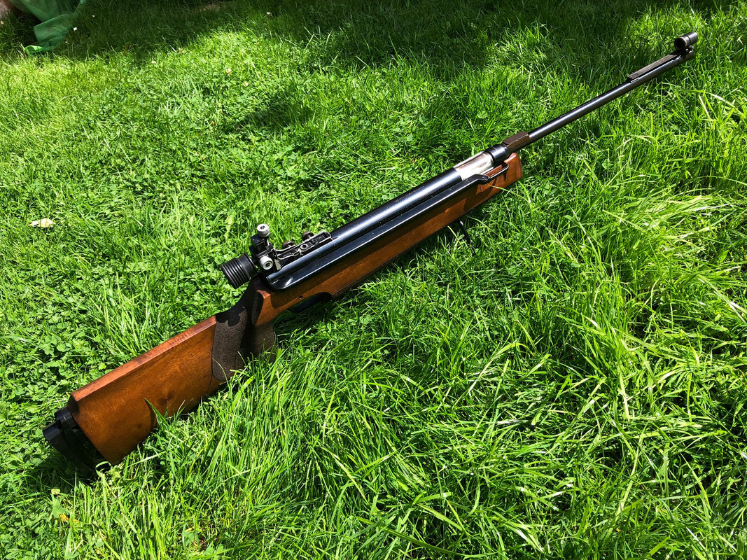 Anschutz-250-oiled-05