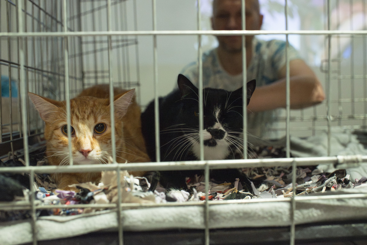 DSC_9691-Улучшено-NR