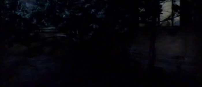 vlcsnap-2018-03-05-18h33m13s651