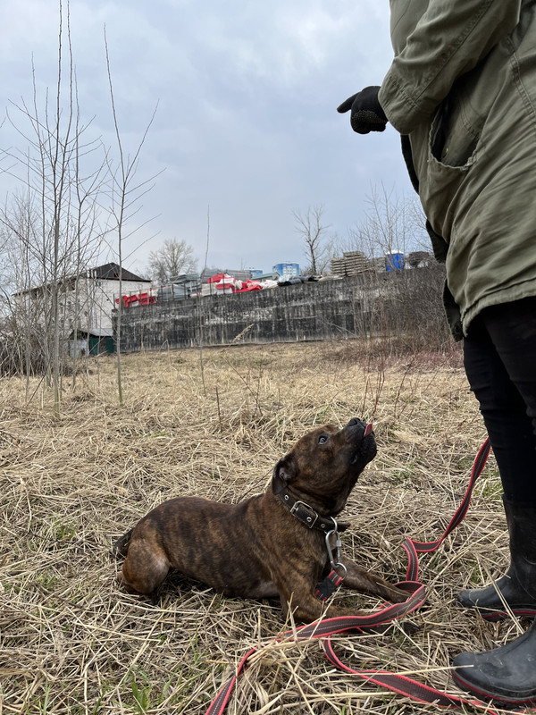 image-09-04-23-05-26-9 (1)