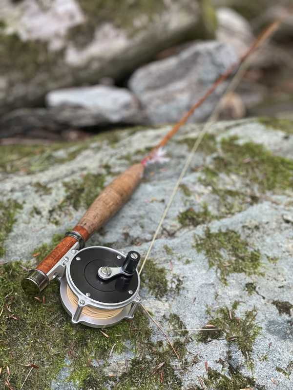 FBA1D44F-FF48-4FF2-B4BF-D371459EF69E