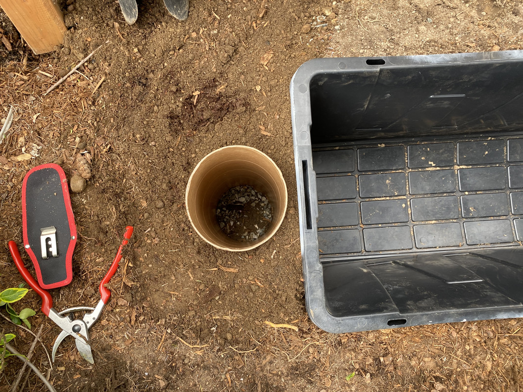 43EBCB3B-F211-454B-91A1-866DA2FD073F