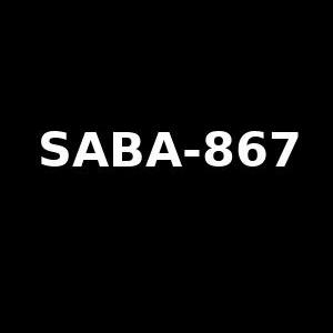 867-4053868732.jpg