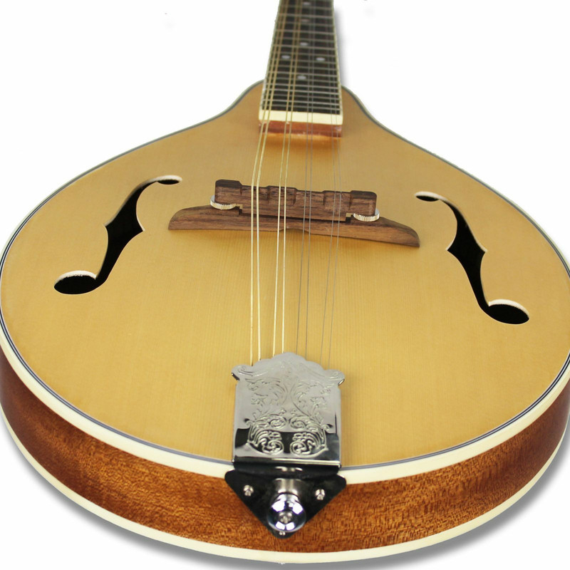 eight string acoustic mandolin full instrument