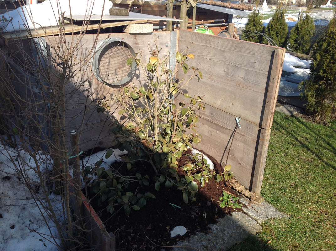 Garten Februar 12.02.2015 13 Uhr (4)