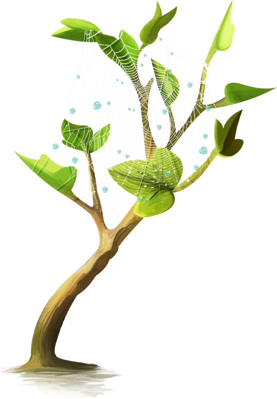 Into The Jungle (107)