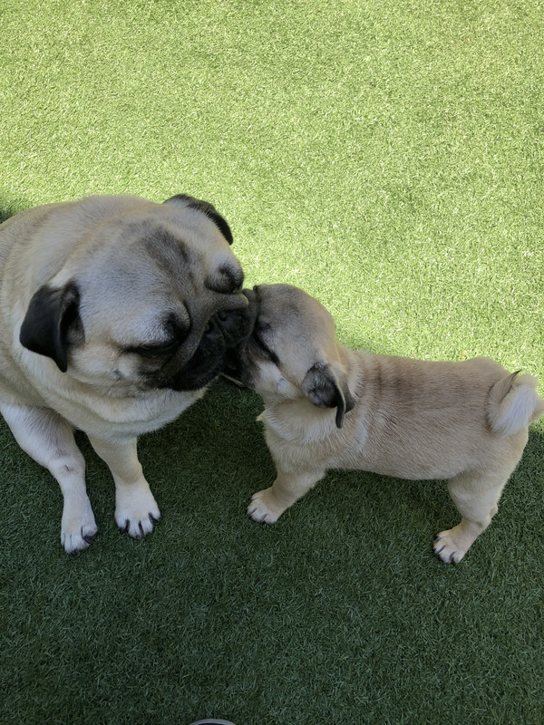 0EFA371E-94EB-4758-9582-E5B880EC68A7