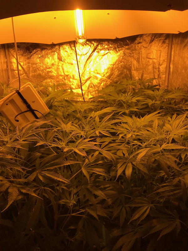 D592D868-59A5-4812-9483-B5C68E90AE96