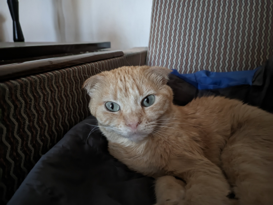 PXL_20230402_083849895