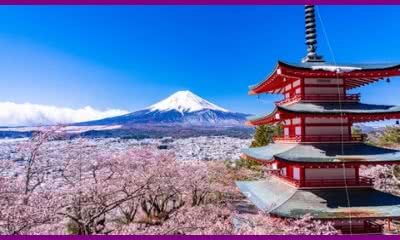 Japanese for Beginners - Level 1 - Interactive Online Course (2022-04)
