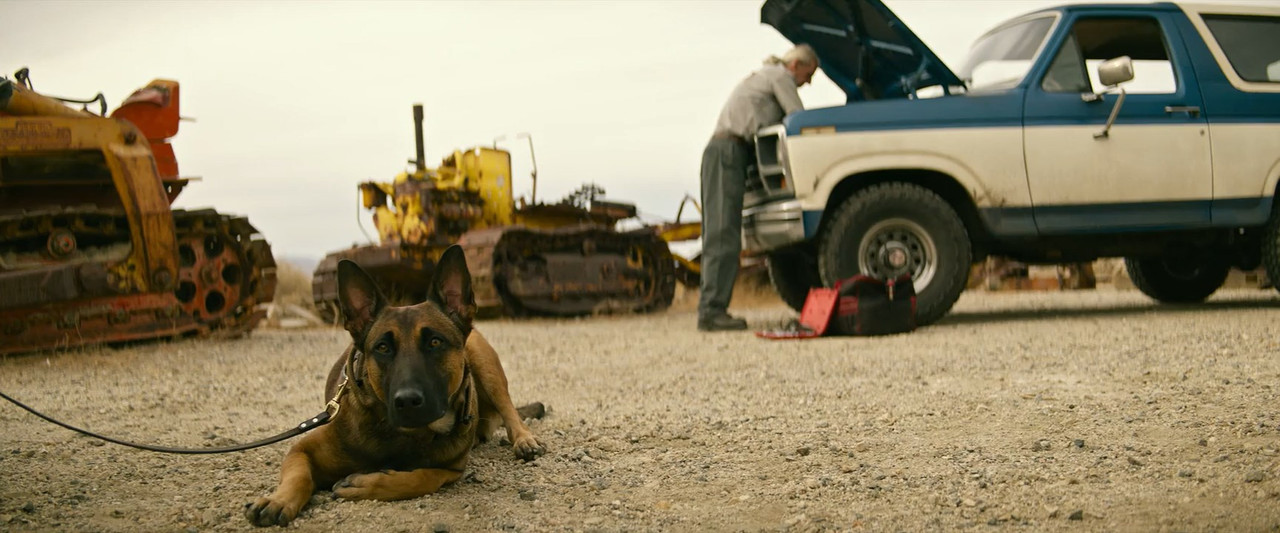 Dog 2022 WebRip [Hindi + Tamil + Telugu + English] 480p, 720p ESub Screenshot