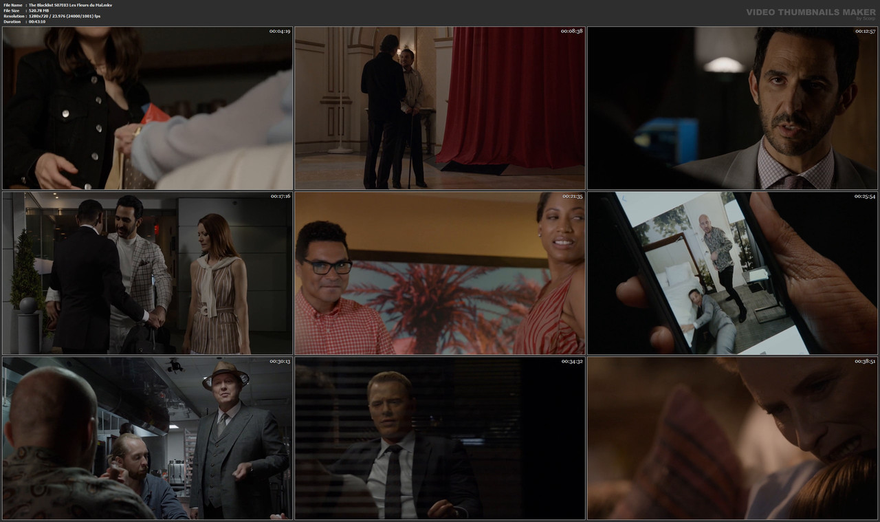 The Blacklist S07E03 Les Fleurs du Mal.mkv