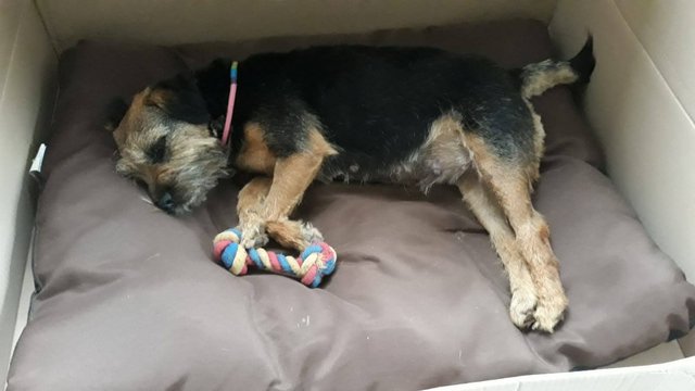 IMG-20200629-WA0001 (1)