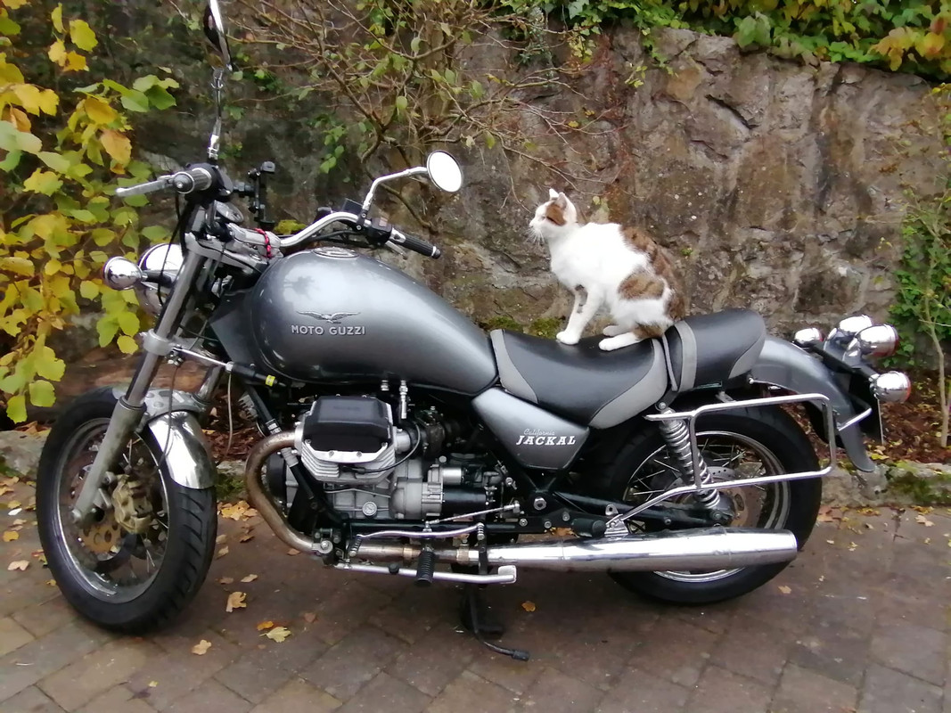 bike.jpg