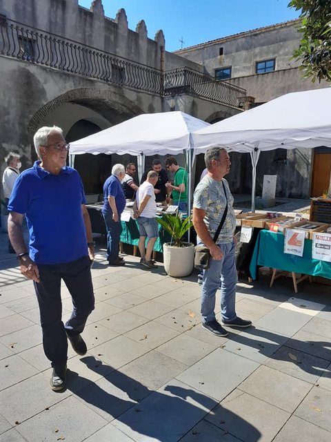 287661413-477038410890698-52864609227264