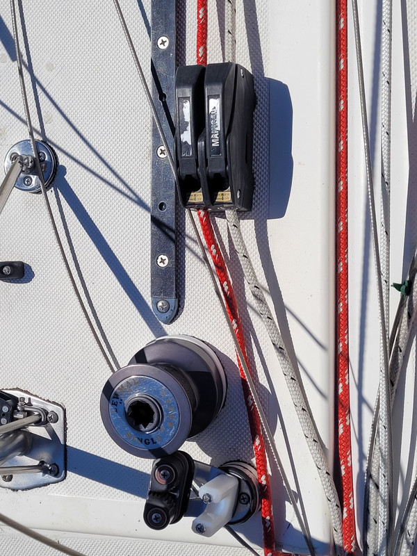 20231107_125207 (Large)