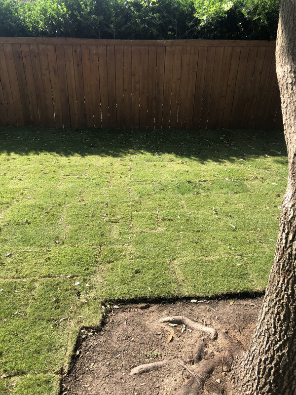 A3B7EBD8-8945-40FC-B71A-B63DCFC2AF7C