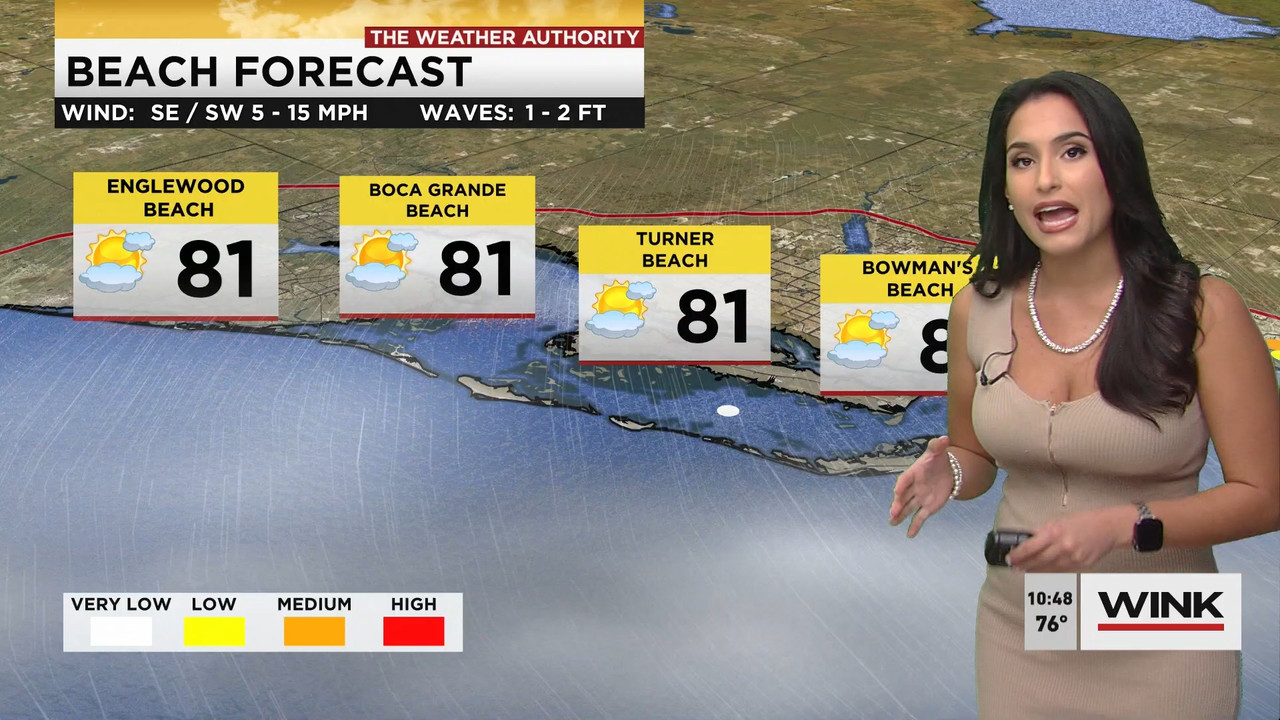 02.09 - 15.00.00 - WINK News at 10 00 a.m..ts_snapshot_00.49.49.428