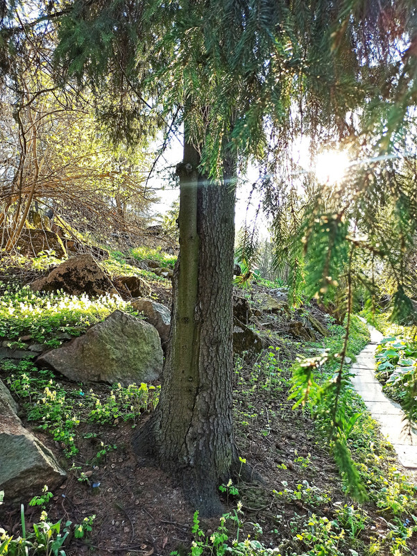 490771564_9523958347695673_8427649055997261802_n