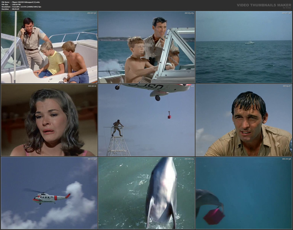 Flipper S01E05 Kidnapped (1).mkv