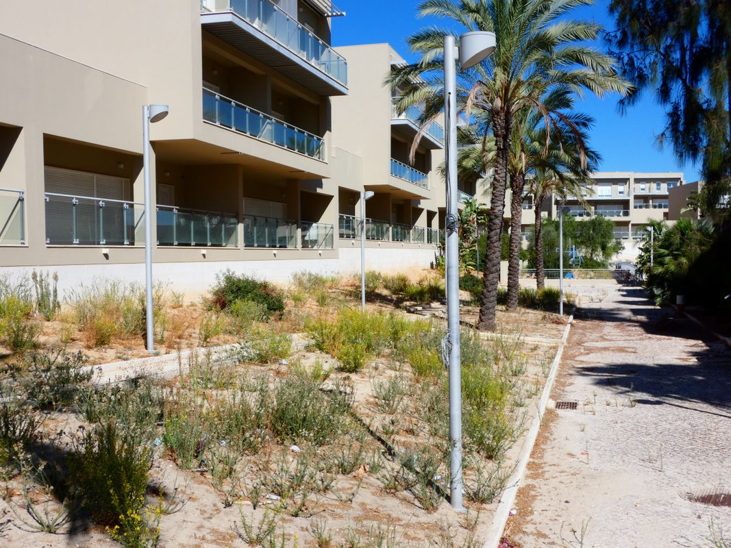 Oceanville-051025 (3)