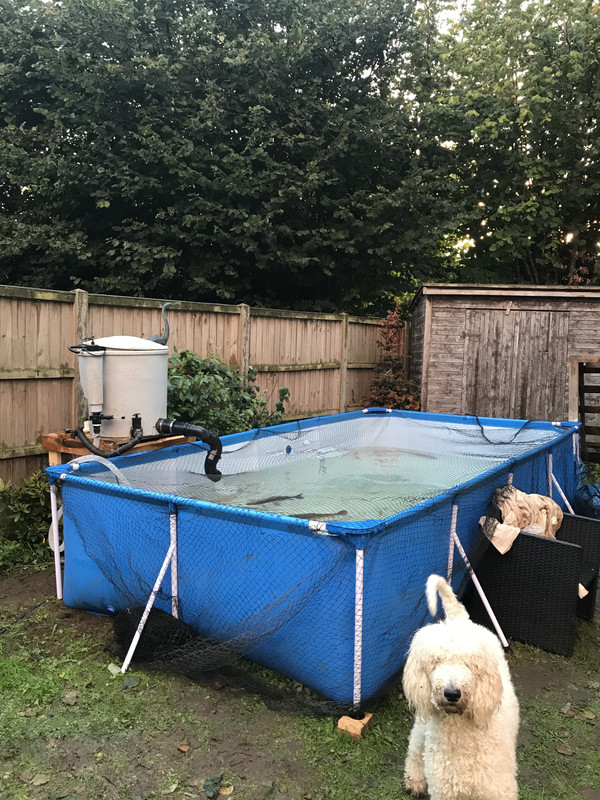 53C2ADB5-3F55-40FA-8A63-9318EAEBFDA3