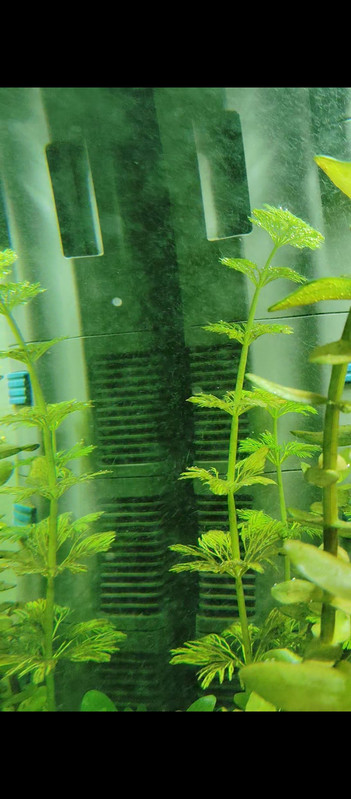 Screenshot 2025 12 08 20 58 01 612 com miui mediaviewer