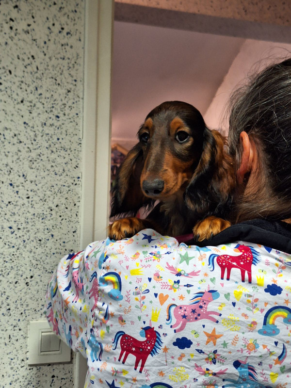 [Image: IMG-20240201-181116.jpg]