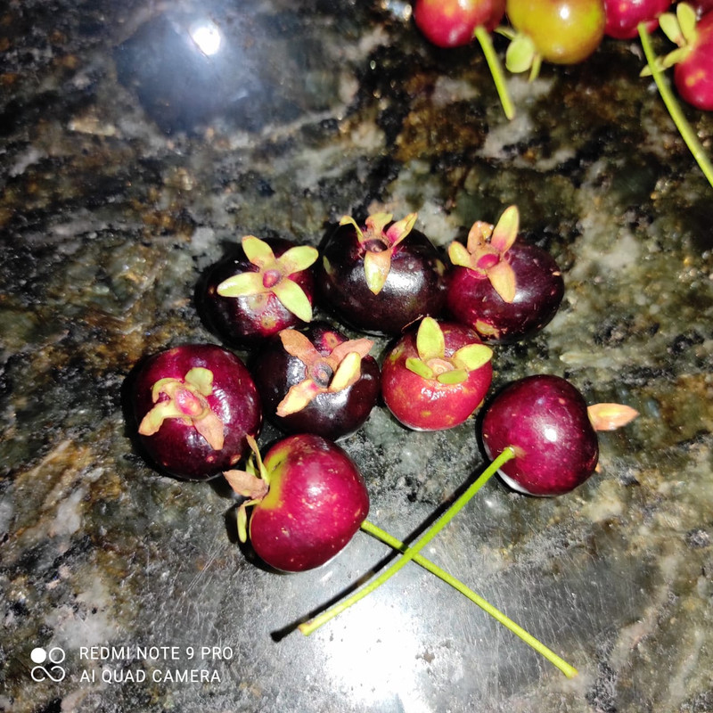 WhatsApp Image 2020-12-20 at 13.41.20 (16)