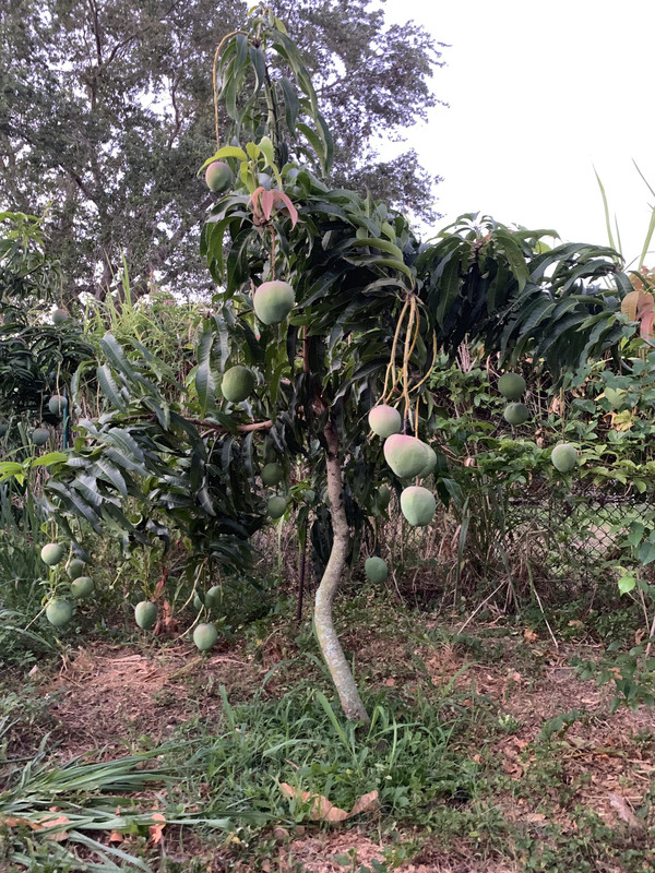 AB591DFE-9800-4D37-8237-A713F6A6A2CC