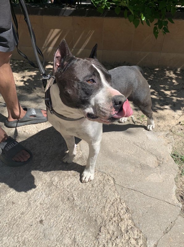 Снимок экрана 2024-05-25 в 20.51.40