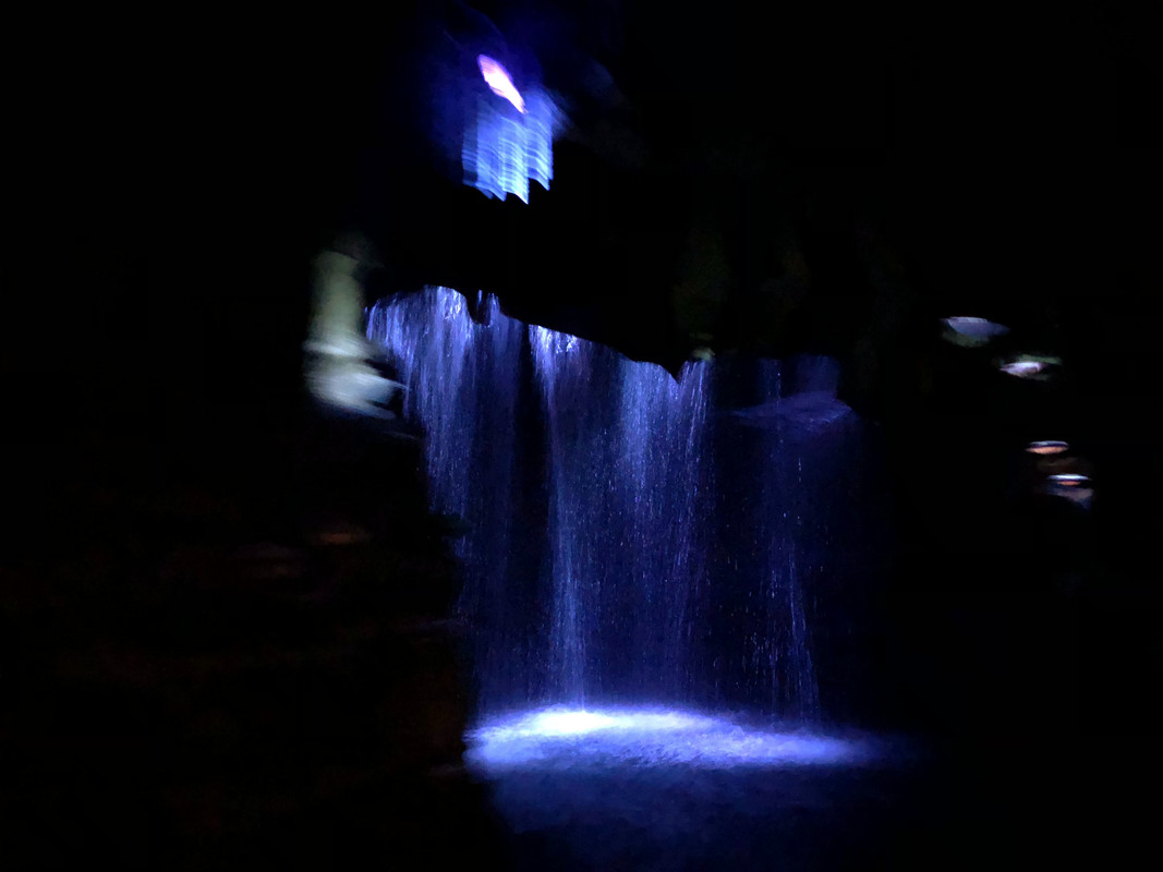 95CB130D-49BB-4DDC-9E0E-1731D8B3D16F