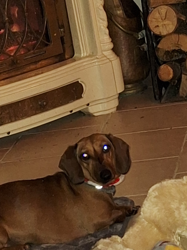 [Image: 20231216-201123.jpg]