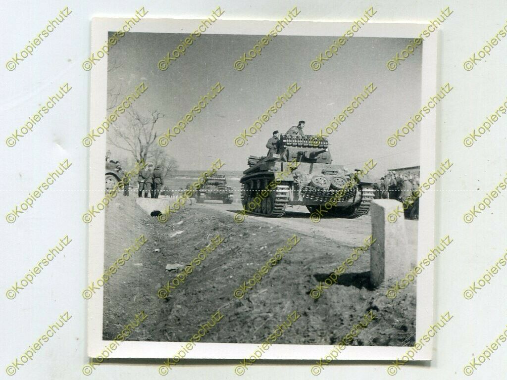 Foto, Panzer-Regiment 36, Panzer an der Grenze Rumänien - Bulgar