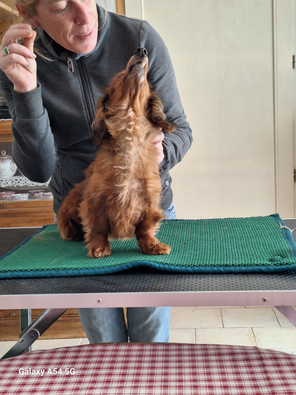 [Image: 20240702-155949.jpg]