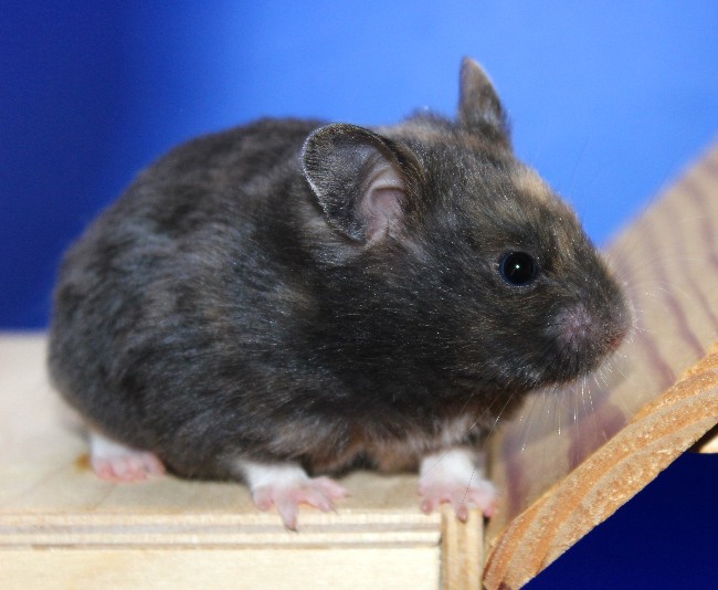 Акварель 21.04.22-02