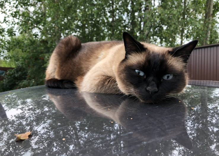 67A0F291-3991-479A-80DC-14E1AF7C4A3D