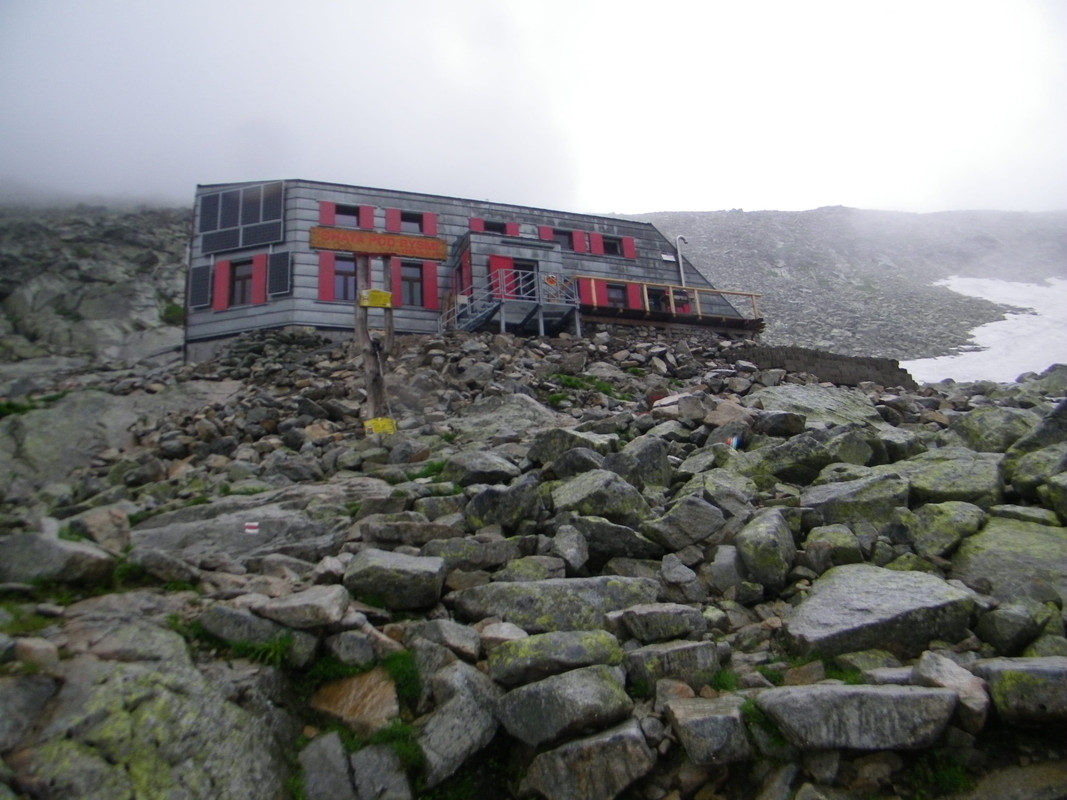 055 - 100_2895 (johny)