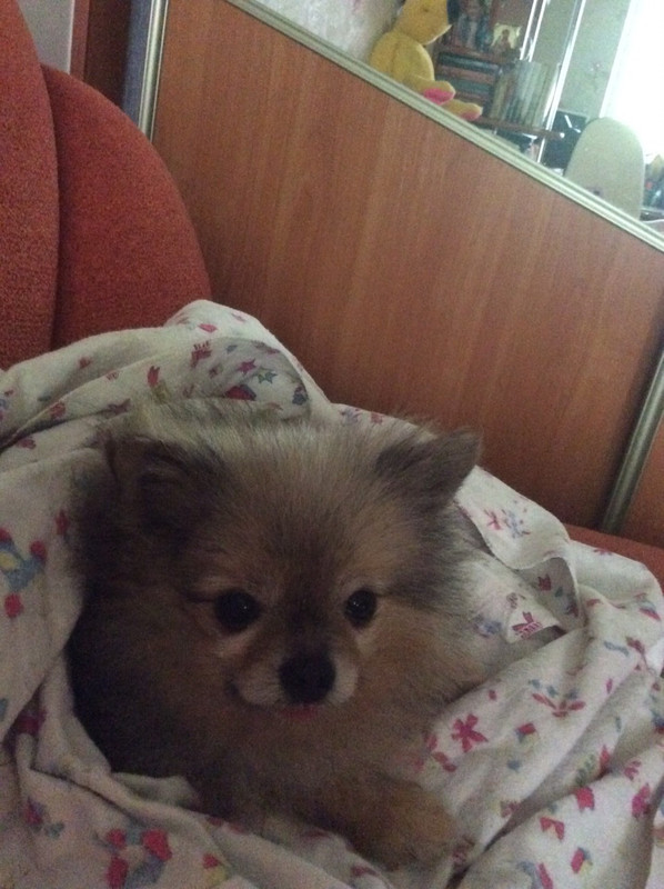 IMG-c1d9504dc445263960f8c81abc27d0ba-V