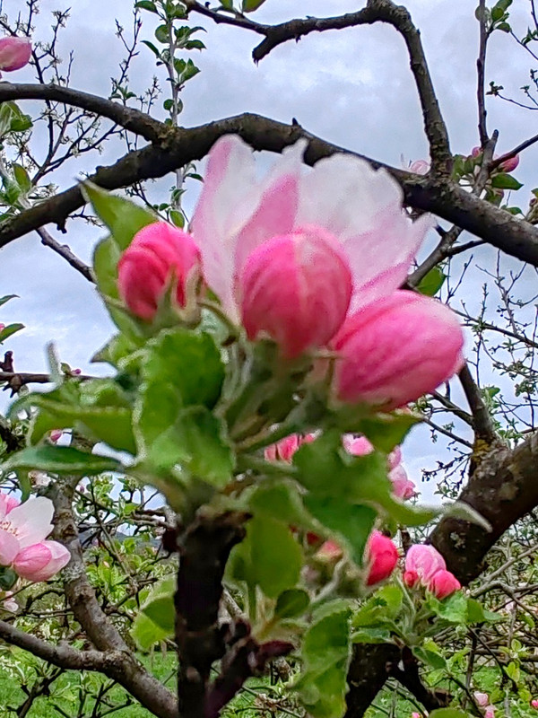 IMG 20260413 191802bbb