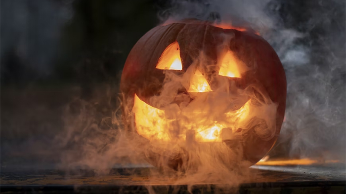 Fakta unik labu yang selalu identik dengan perayaan Halloween.