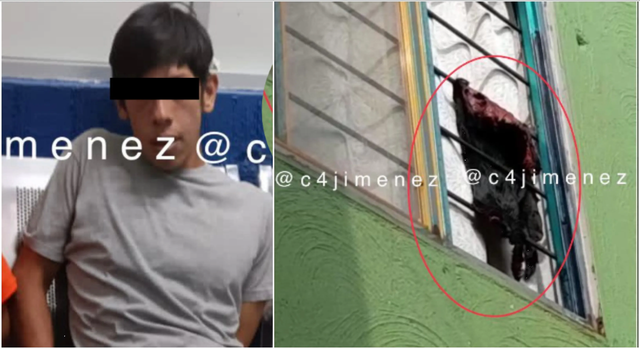 Desollaba perros y decapitaba gatos, sus cuerpos los exhibía en calles