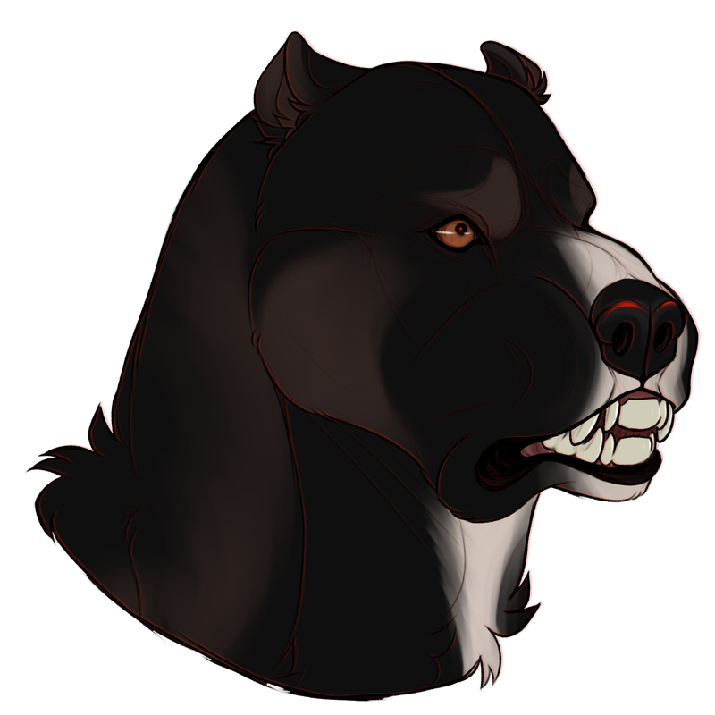 sketchcomm8.png