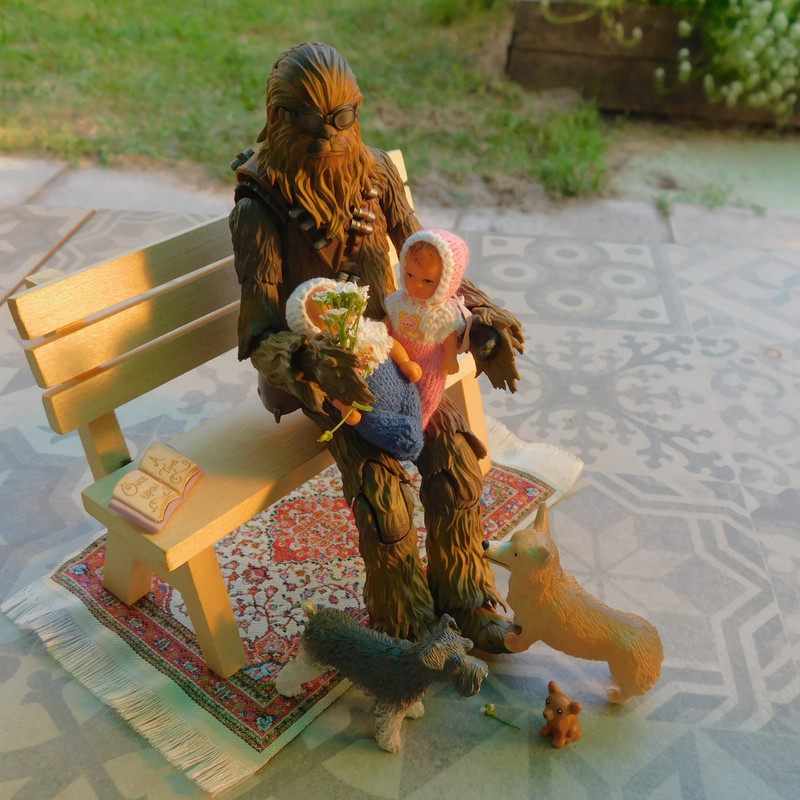 Дачно-Харлинский июнь-июль 2024 244