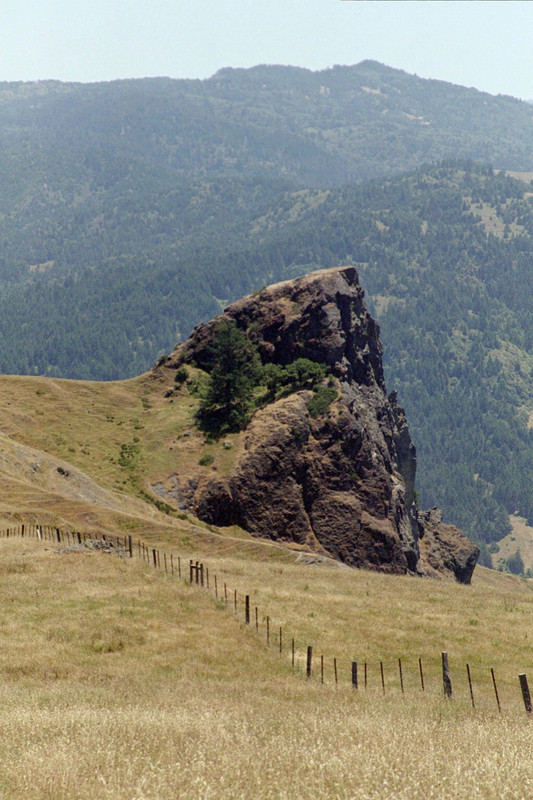 RobinsonsRock