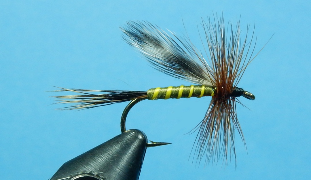 March Flies From the Vise - Page 16 - The Fly Tying Bench - Fly Tying